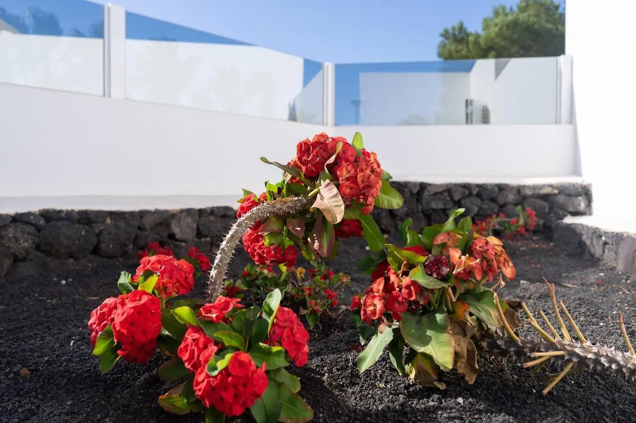 Villa Rooms & Suites Princesa Mercedes Puerto del Carmen  Spain